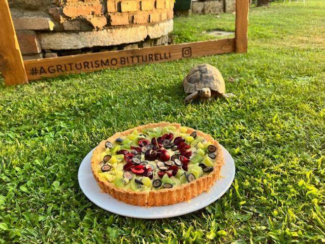 Agriturismo Bitturelli Ponti sul Mincio Eksteriør billede