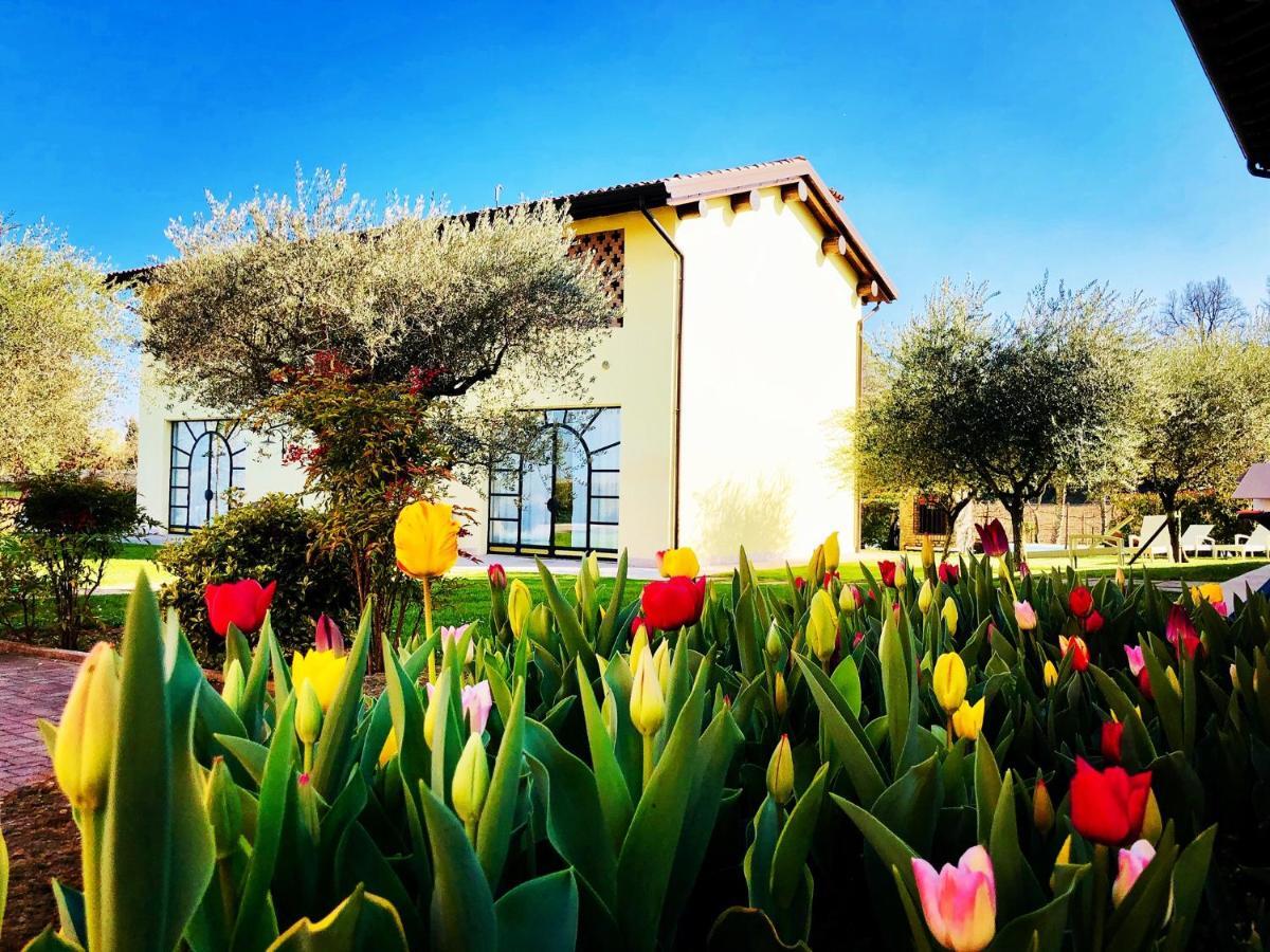Agriturismo Bitturelli Ponti sul Mincio Eksteriør billede